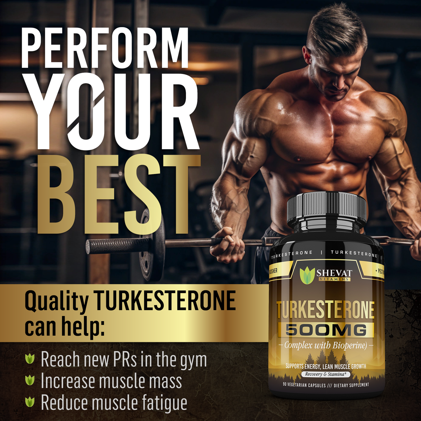Shevat Turkesterone Complex 500mg with BioPerine – 60 Capsules, Non-GMO, Made in USA