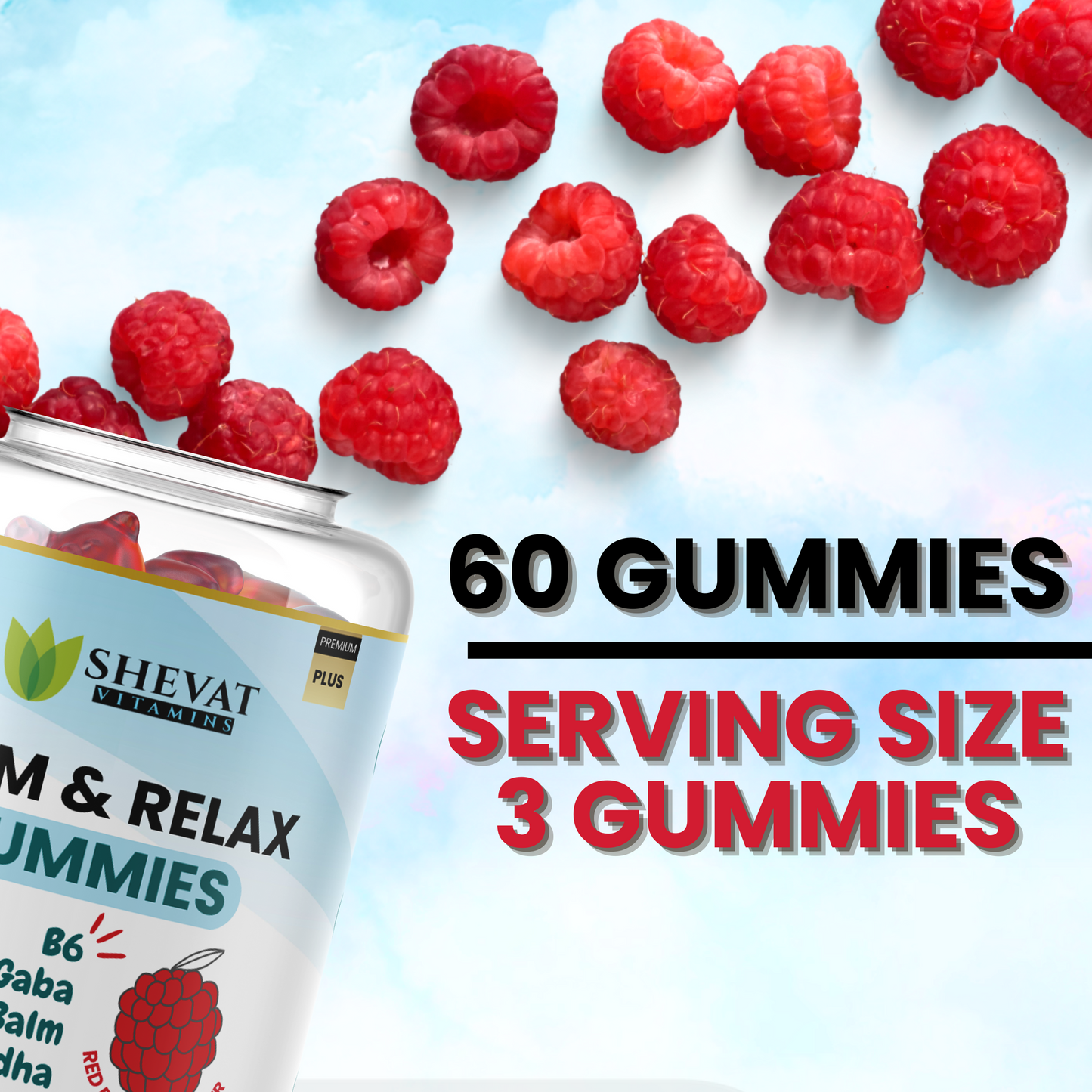 Calm & Relax Gummies – Ashwagandha, GABA, B6 & Lemon Balm for Stress Relief & Mood Support – Red Berries Flavor – 60 Gummies, Made in USA