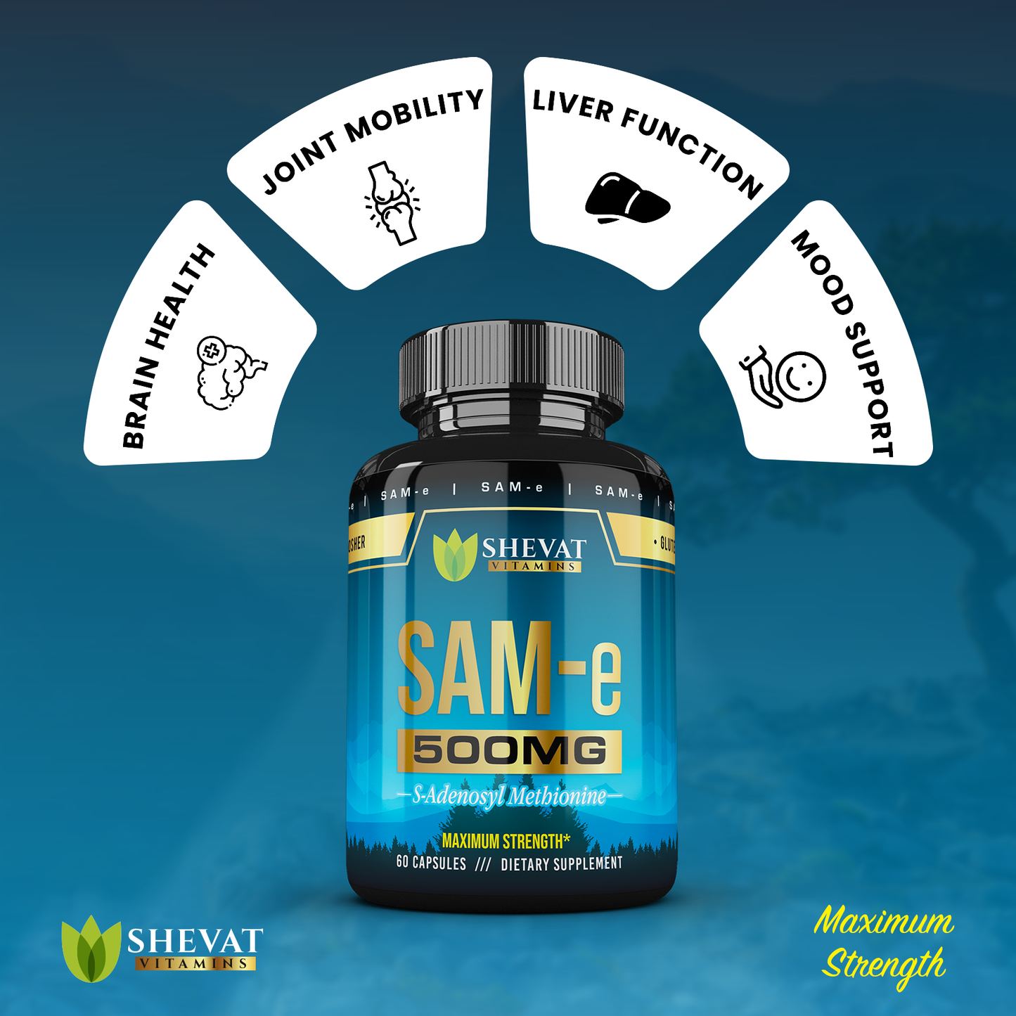 Shevat SAM-e 500mg Capsules – 60 Count, Vegan, Non-GMO, Gluten-Free, Made in USA