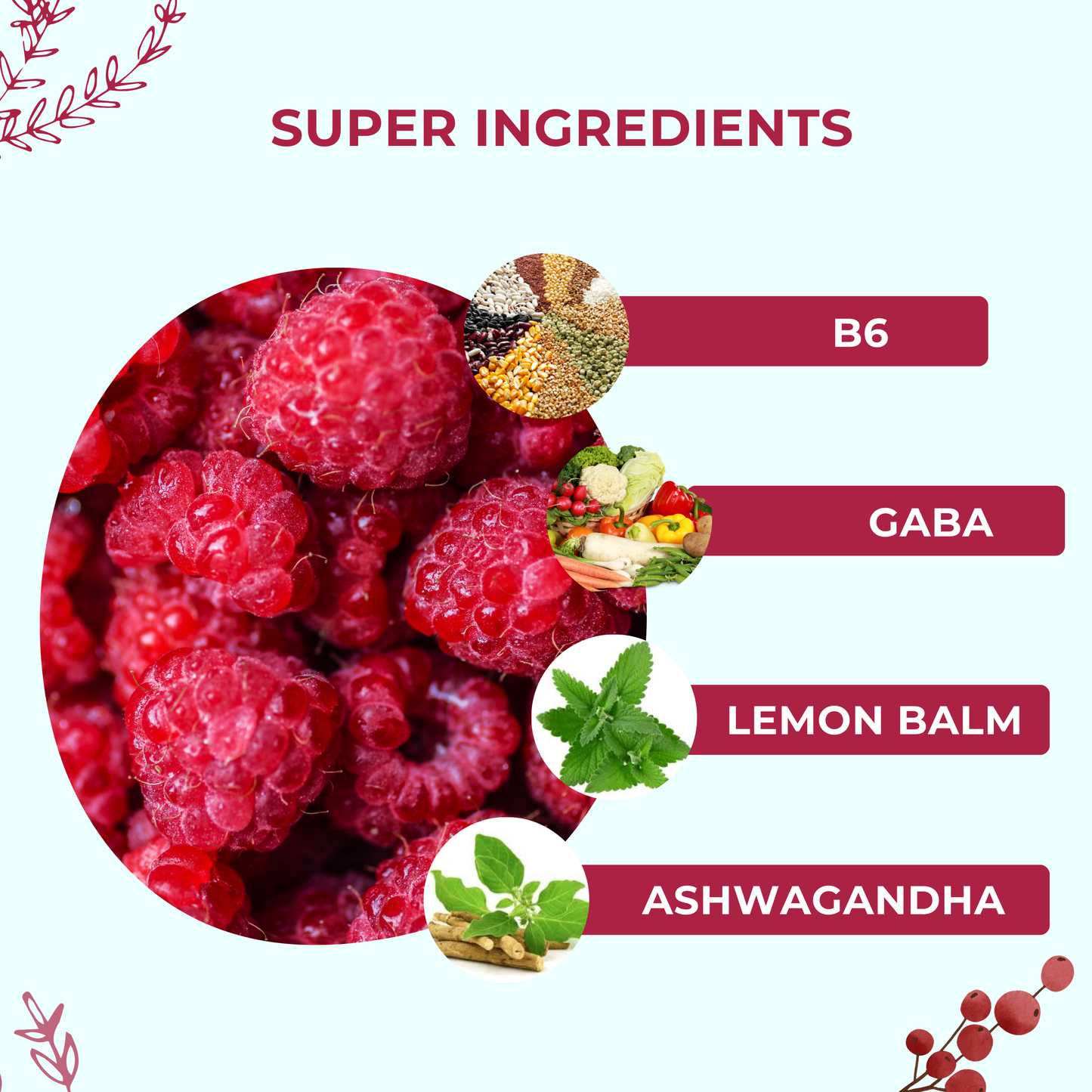 Calm & Relax Gummies – Ashwagandha, GABA, B6 & Lemon Balm for Stress Relief & Mood Support – Red Berries Flavor – 60 Gummies, Made in USA