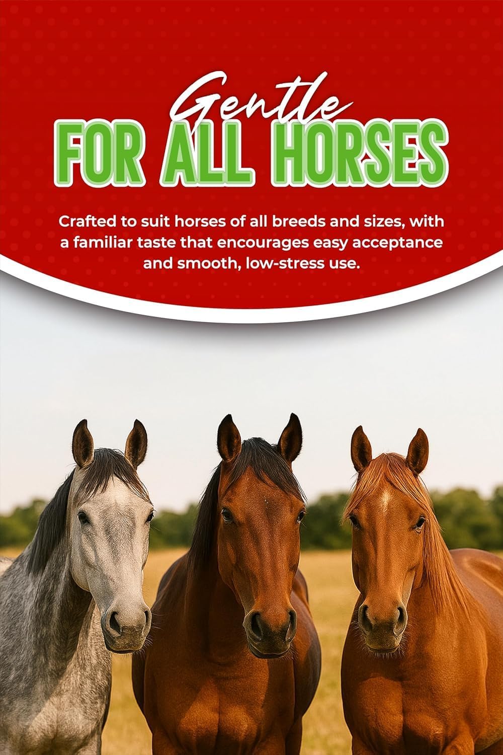 Ivermectin Horse Paste 1.87% – Apple Flavored, Easy-to-Use, Fast Shipping - 1 Pack