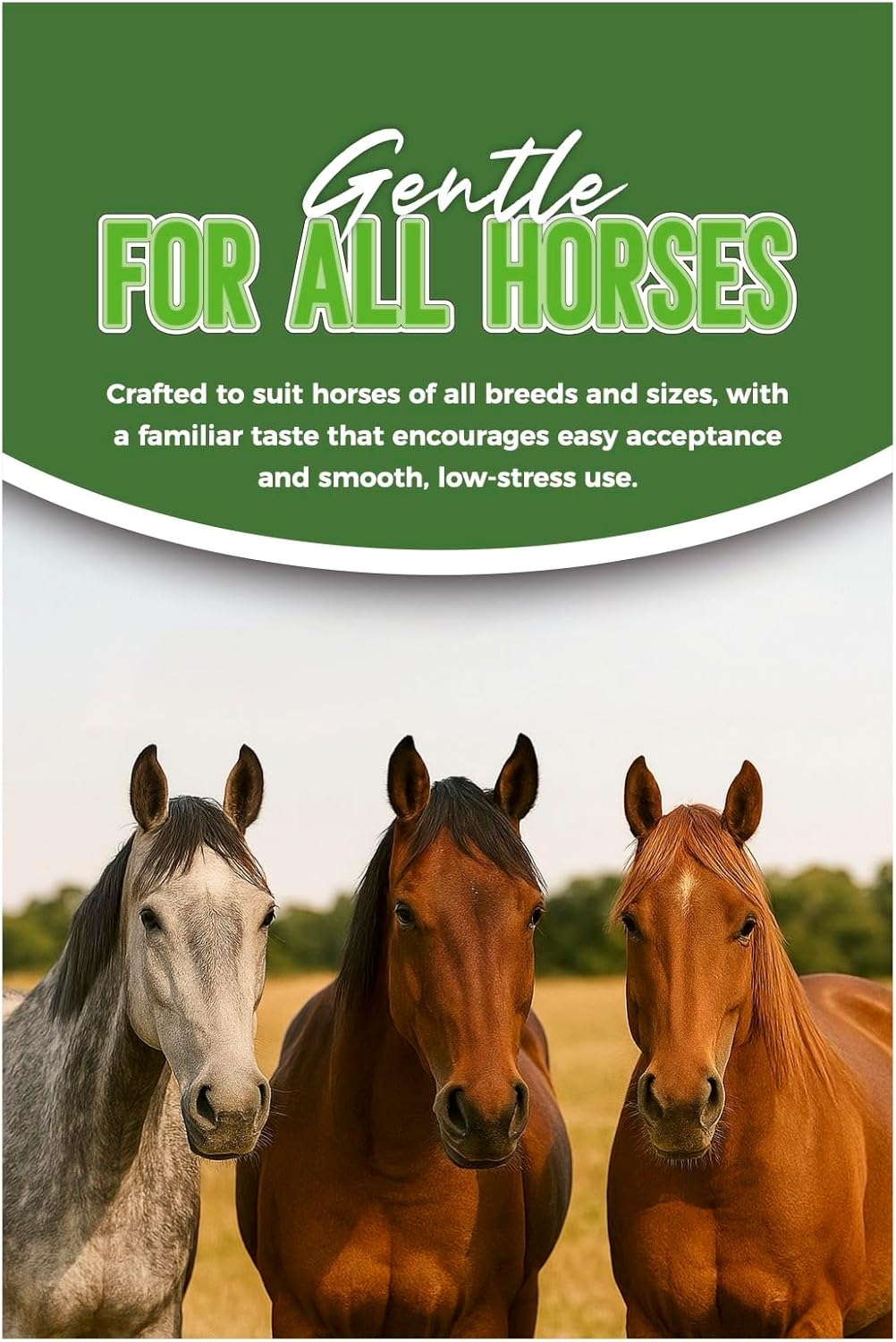 Ivermectin Horse Paste 1.87% Apple Flavored | 6.08g (3-Pack) Oral Gel for Horses