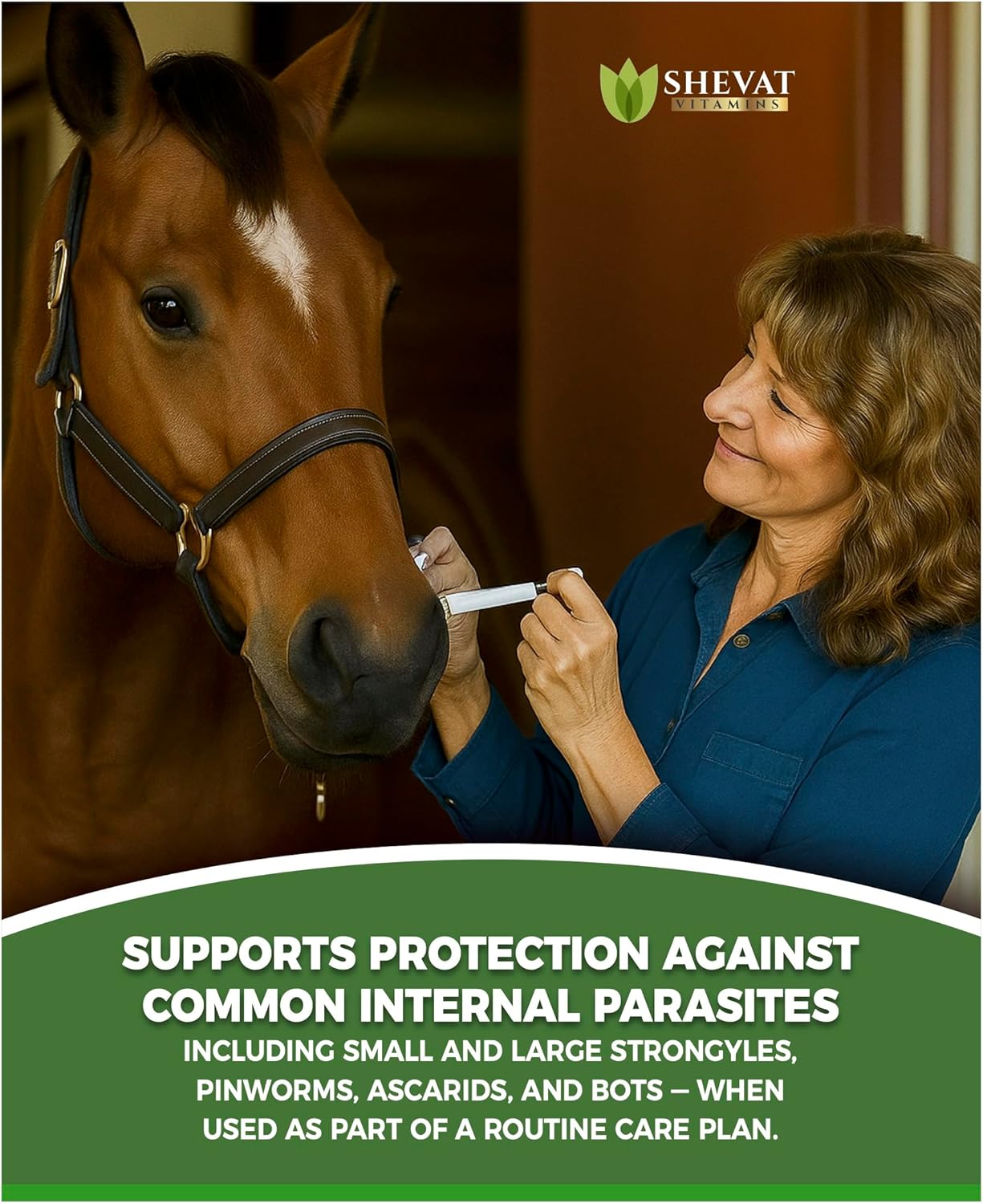 Ivermectin Horse Paste 1.87% Apple Flavored | 6.08g (3-Pack) Oral Gel for Horses