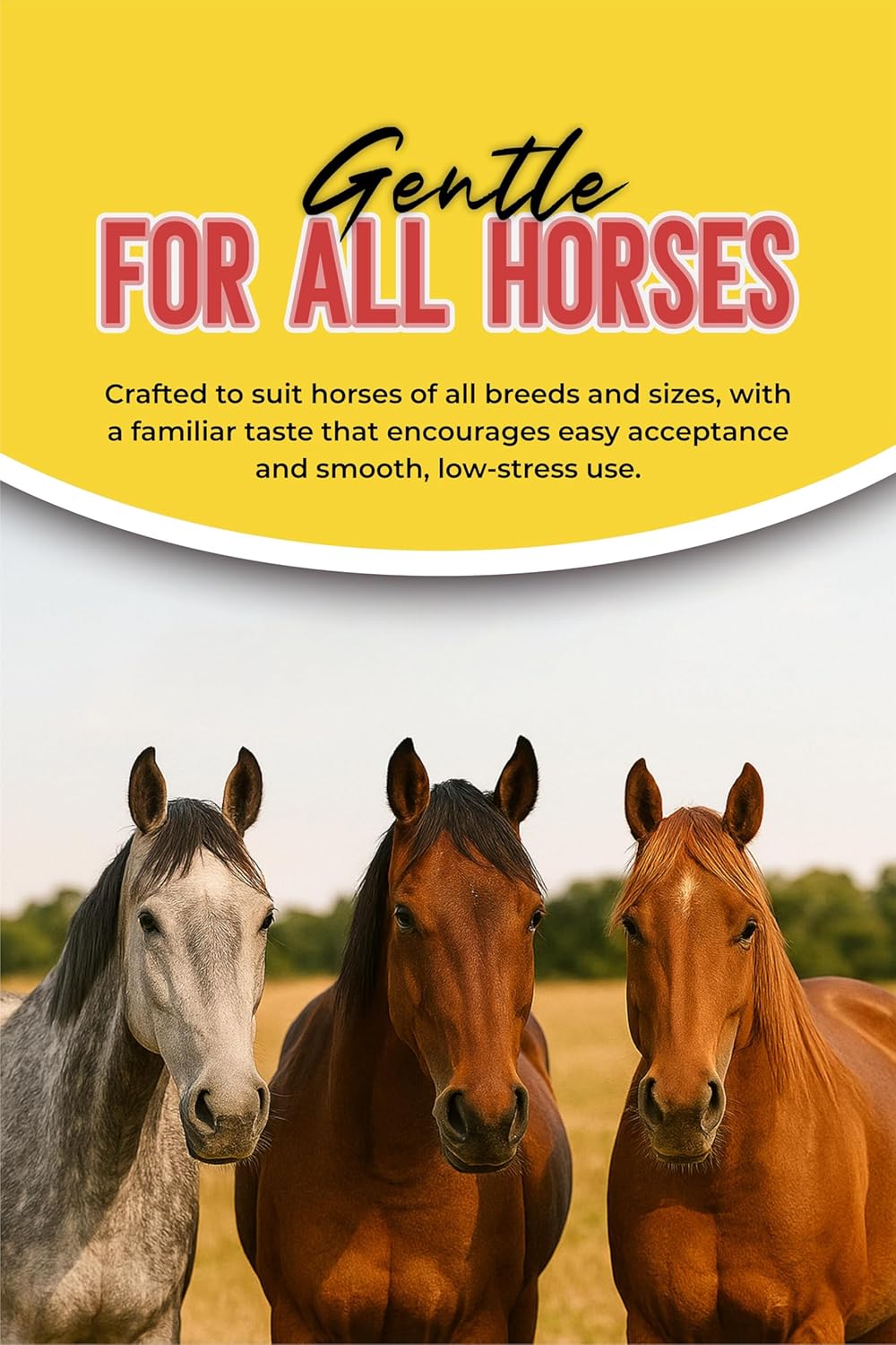Ivermectin Horse Paste 1.87% – Apple Flavored – 6.08g Tube – for Horses Up to 1250 lb