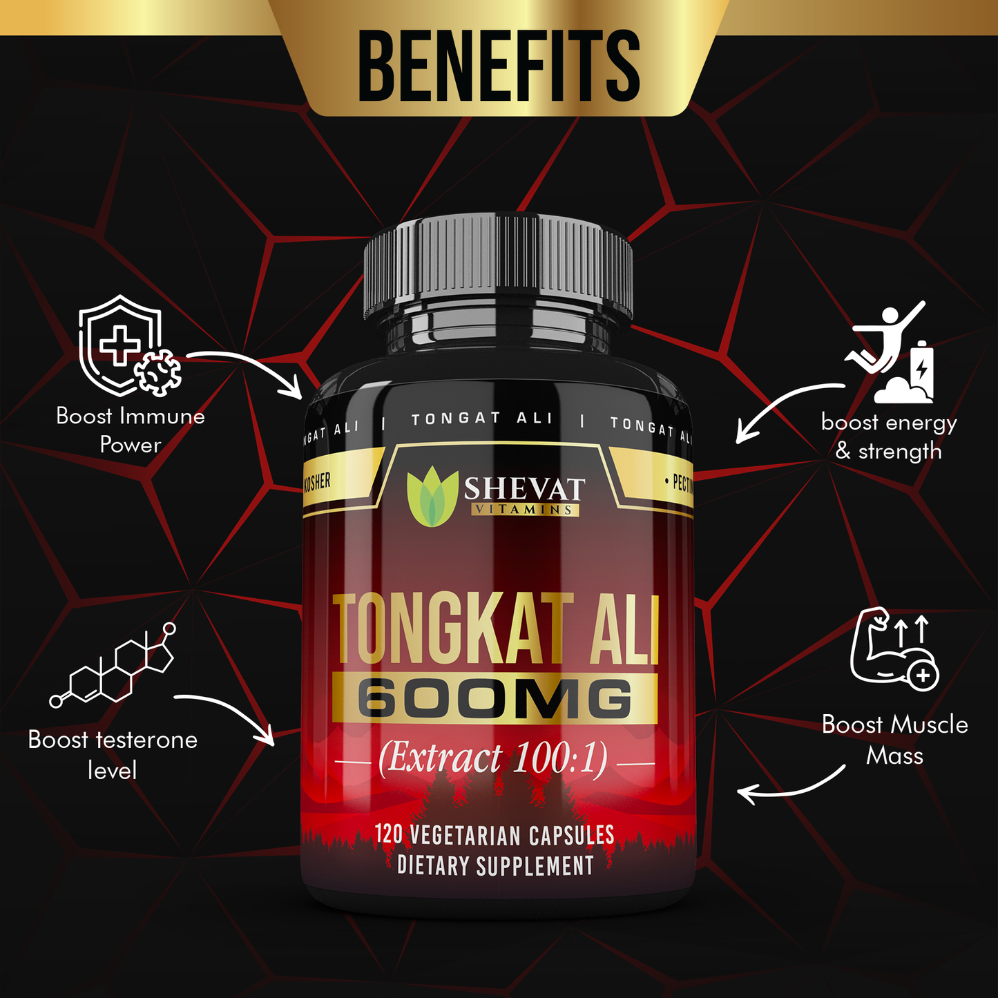 Tongkat Ali 600mg Extract β 60 Capsules, Vegan, Non-GMO, Made in USA