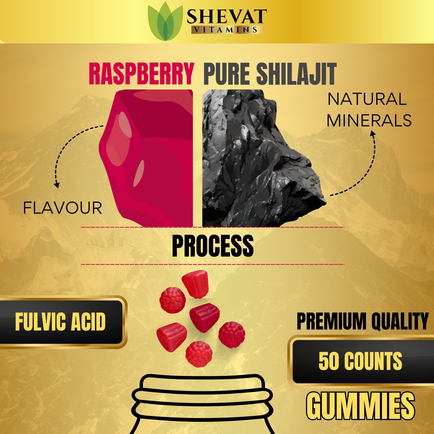 Shevat Vitamins Shilajit Gummies β With 85+ Trace Minerals, Natural Himalayan Extract, 60 Vegan Gummies β Non-GMO, Made in USA