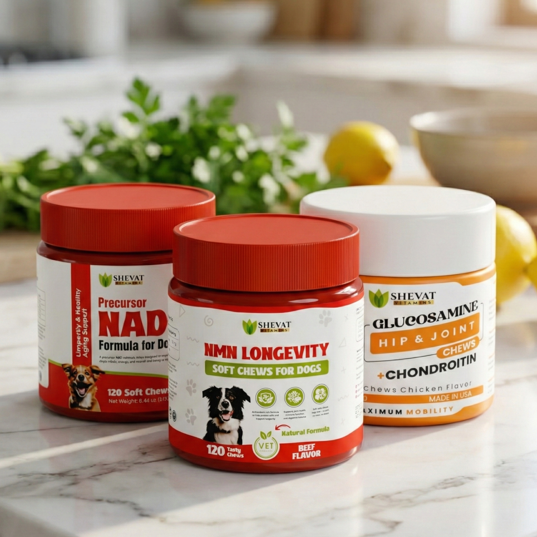 Pet Supplements & Wellness