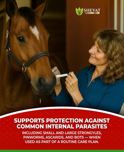 Ivermectin Horse Paste 1.87% – Apple Flavored, Easy-to-Use, Fast Shipping - 1 Pack
