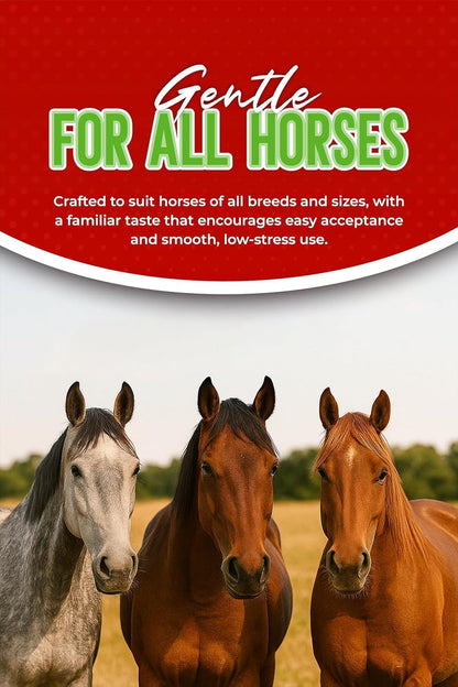 Ivermectin Horse Paste 1.87% – Apple Flavored, Easy-to-Use, Fast Shipping - 1 Pack