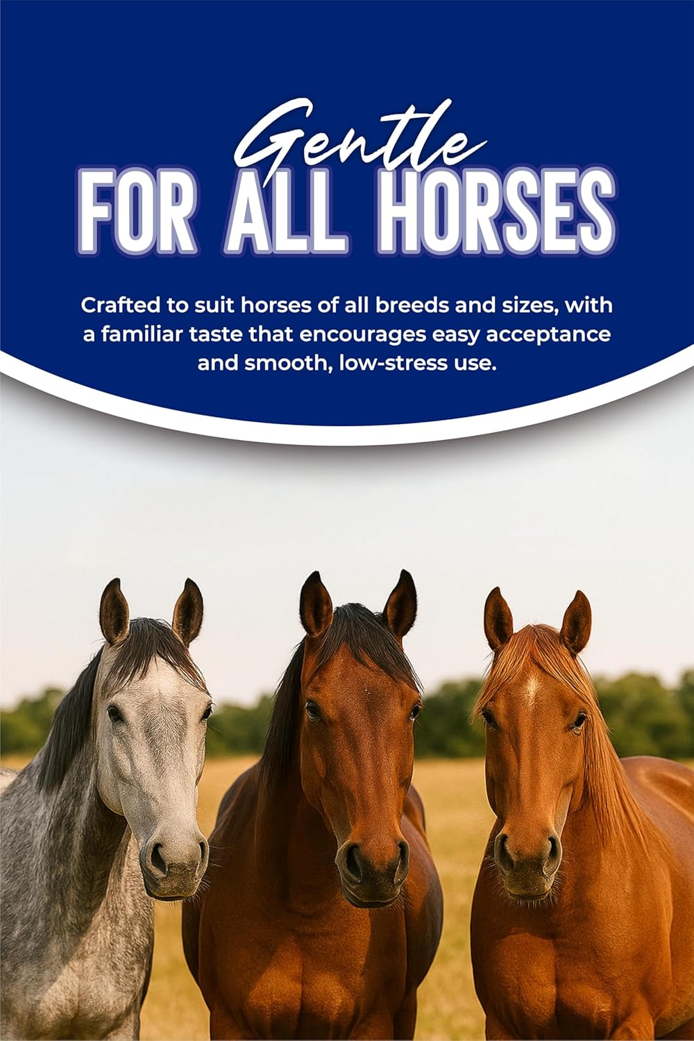 Ivermectin Horse Paste 1.87% 6.08g (3-Pack) | Apple Flavor