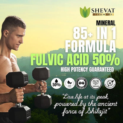 Shevat Pure Himalayan Shilajit Capsules – 60 Vegan Capsules with Fulvic Acid, Non-GMO, Made in USA