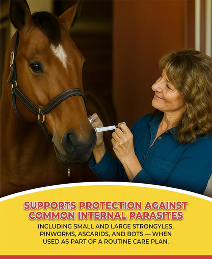 Ivermectin Horse Paste 1.87% – Apple Flavored – 6.08g Tube – for Horses Up to 1250 lb