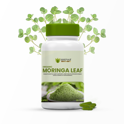 Shevat Organic Moringa Leaf Capsules 1000mg – 90 Count, Non-GMO, Made in USA