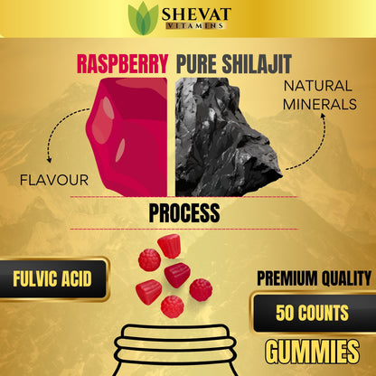 Shevat Vitamins Shilajit Gummies – With 85+ Trace Minerals, Natural Himalayan Extract, 60 Vegan Gummies – Non-GMO, Made in USA